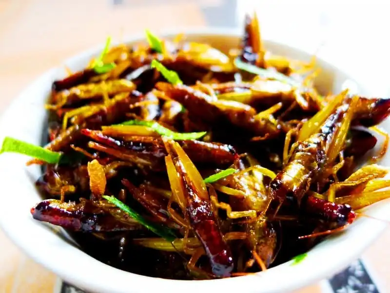 wanderlust_tips_An-cay-nhu-nguoi-quy-chau 10