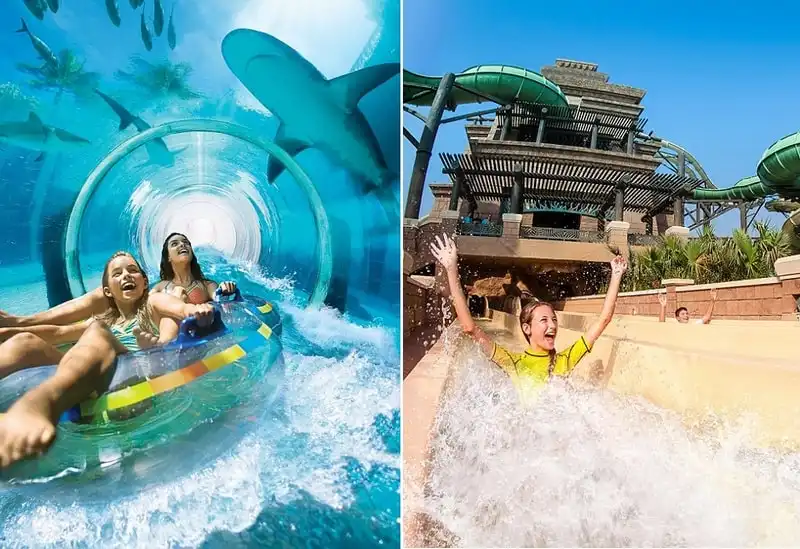 Shark Attack Aquaventure.webp