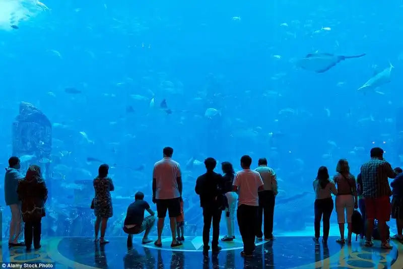 wanderlust_tips_Trai-nghiem-Dubai-cung-giam-khao-Amanda-cua-Than-tuong-am-nhac-Anh 5