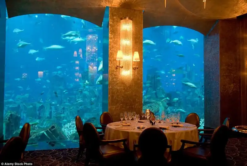 wanderlust_tips_Trai-nghiem-Dubai-cung-giam-khao-Amanda-cua-Than-tuong-am-nhac-Anh 6