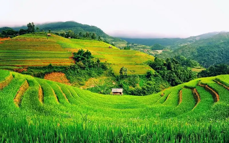wanderlust_tips_cung_duong_tay_bac_1