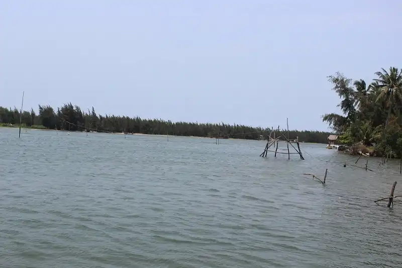 Tam Hải - Hòn đảo hoang sơ ít người biết đến ở tỉnh Quảng Nam 7 wanderlust_tips_dao_tam_hai_2