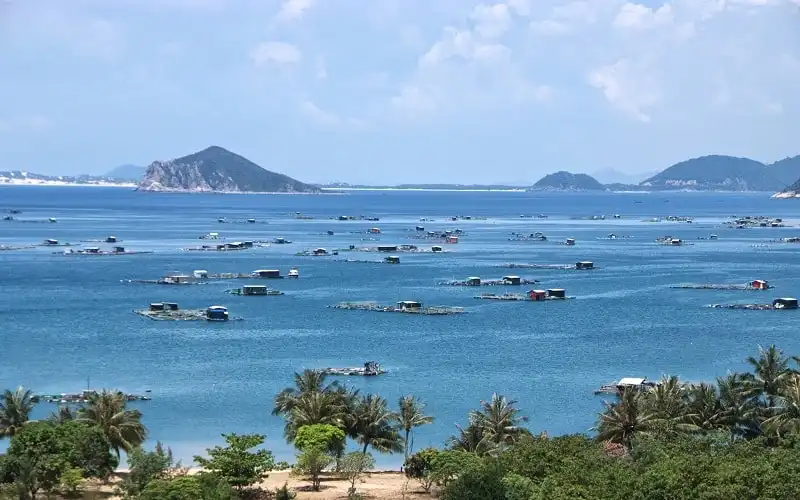 Du lịch Phú Yên khám phá vịnh Xuân Đài và vịnh Vũng Rô 9 wanderlust_tips_du_lich_phu_yen_5