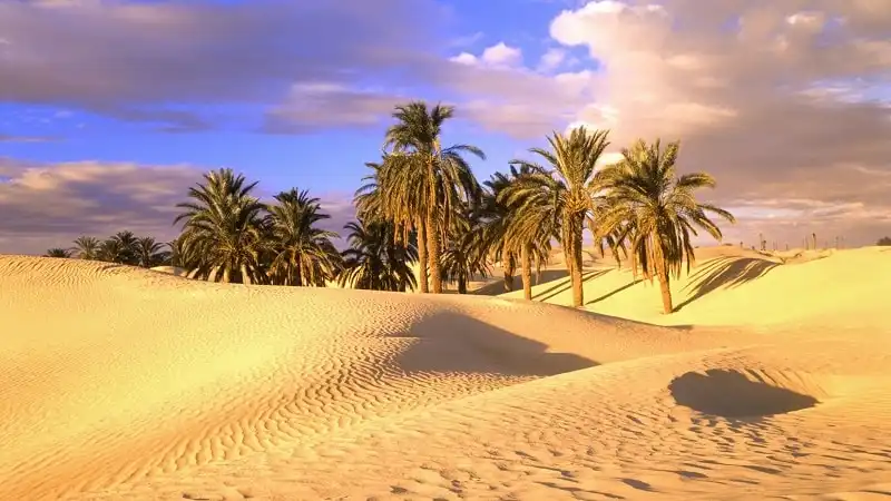 Làm gì để có nước khi bị lạc ở nơi hoang dã 7 wanderlust_tips_lay_nuoc_noi_hoang_da_2