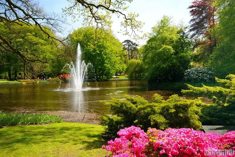 Lạc lối trong vườn Keukenhof 7 wanderlust_tips_le_hoi_hoa_tulip_3