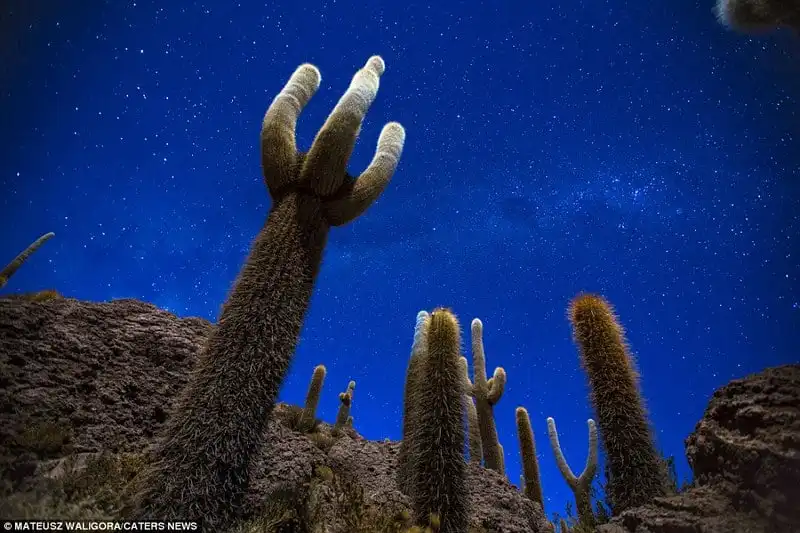 wanderlust_tips_mot-minh-lang-thang-qua-nhung-dong-muoi-Bolivia 14