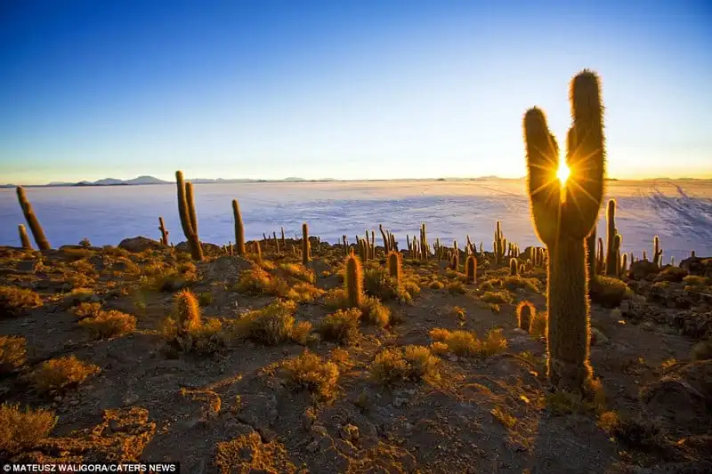 wanderlust_tips_mot-minh-lang-thang-qua-nhung-dong-muoi-Bolivia 4