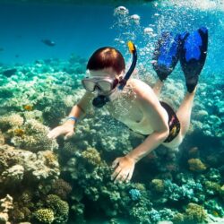 wanderlust tips nen lam gi khi lan bien ngam san ho 2