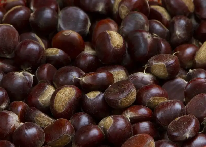 Kinh nghiệm du lịch thác Bản Giốc 7 wanderlust_tips_thac_ban_gioc_kinh_nghiem_3