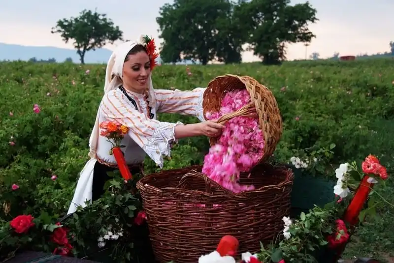 Ghé thăm thung lũng hoa hồng ở Bulgaria 8 wanderlust_tips_thung_lung_hoa_hong_4