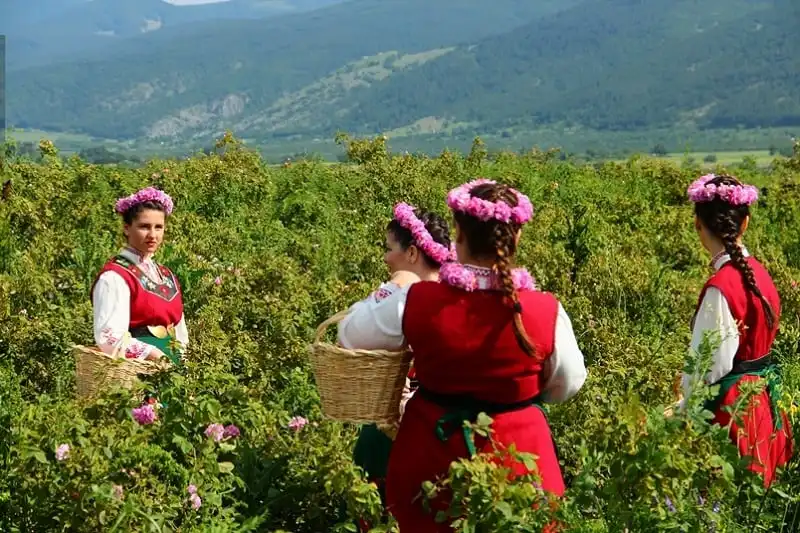 Ghé thăm thung lũng hoa hồng ở Bulgaria 9 wanderlust_tips_thung_lung_hoa_hong_5