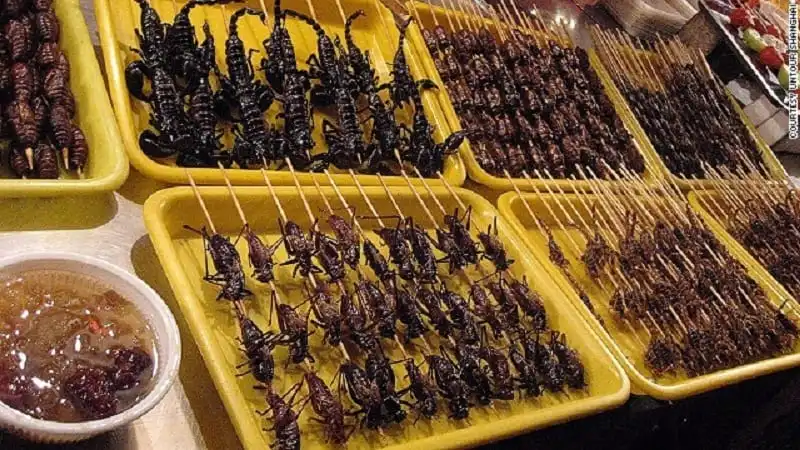 Những tour du lịch lạ đời nhất thế giới 7 wanderlust_tips_tour_tham_quan_doc_la_3