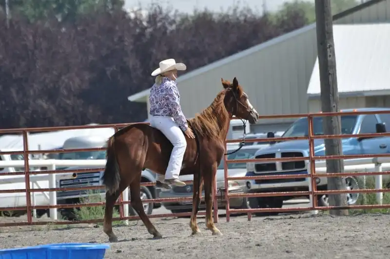 Những tour du lịch lạ đời nhất thế giới 11 wanderlust_tips_tour_tham_quan_doc_la_7