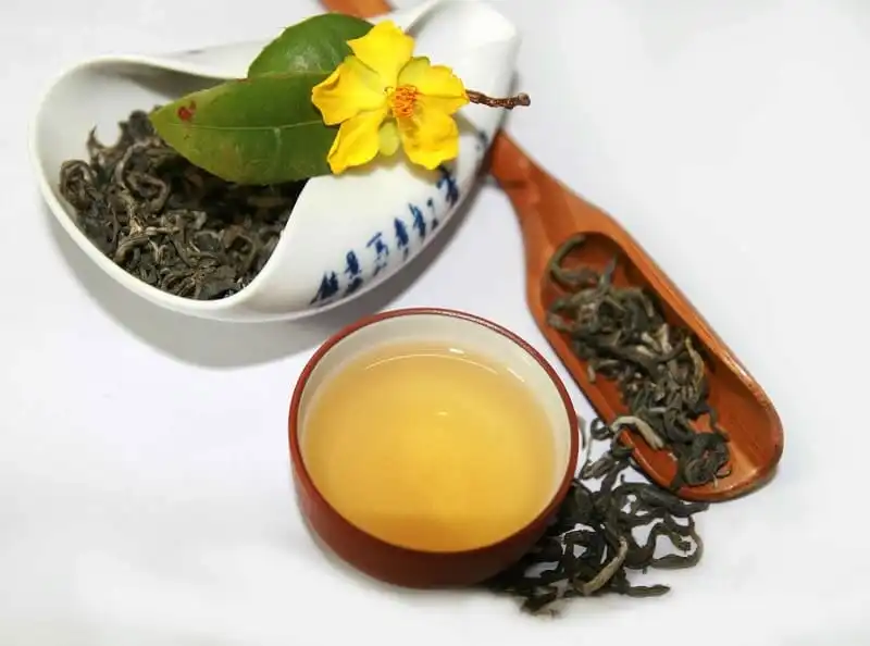 wanderlust_tips_tra_dao_nhat_ban_1