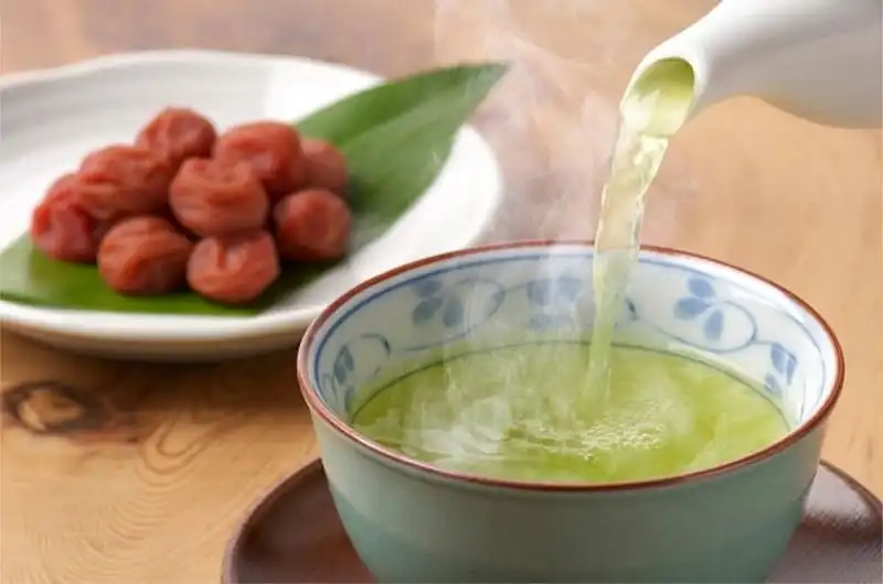 wanderlust_tips_tra_dao_nhat_ban_3