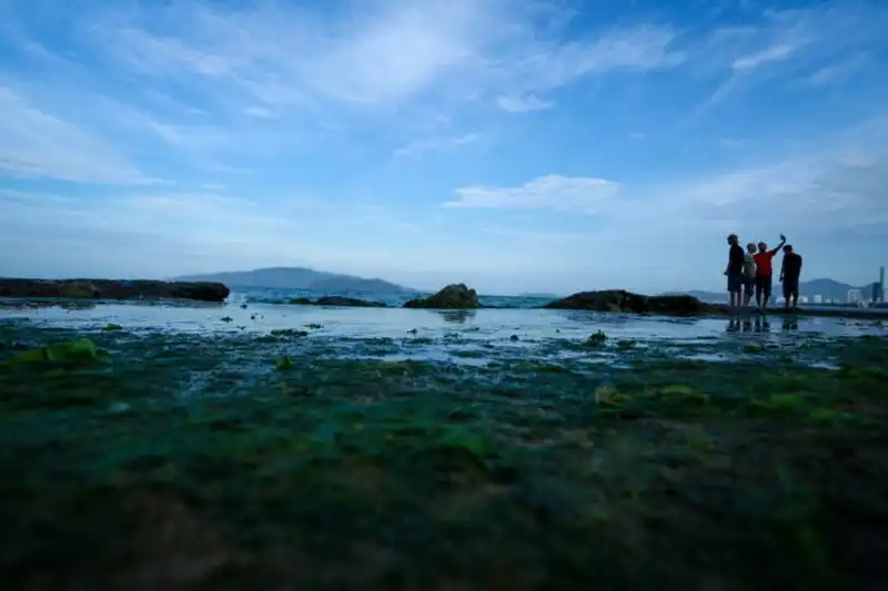 Bãi rêu xanh mướt lạ mắt hút khách ở Nha Trang 14 wanderlust-tips-bai-reu-xanh-muot-hut-khach-o-nha-trang--10