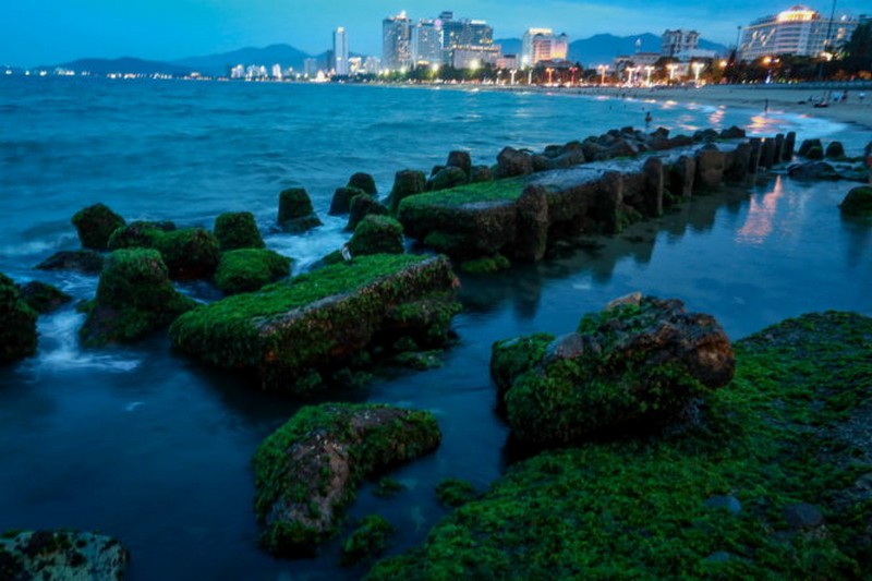 Bãi rêu xanh mướt lạ mắt hút khách ở Nha Trang