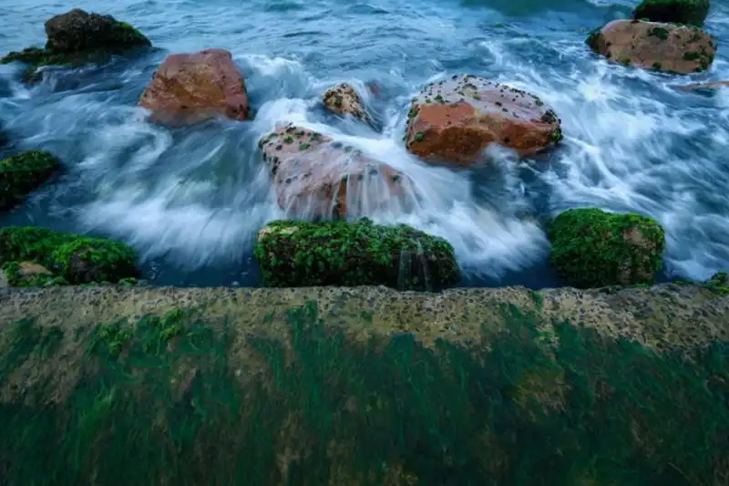 wanderlust-tips-bai-reu-xanh-muot-hut-khach-o-nha-trang--5