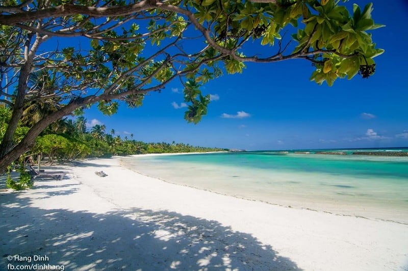 Vì sao bạn tuyệt đối không nên đi Maldives? Vì sao bạn tuyệt đối không nên đi Maldives?