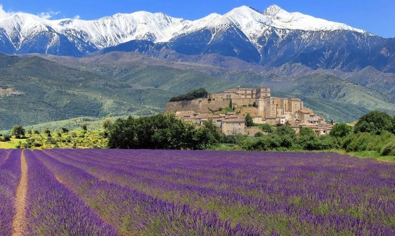 Ghé thăm thiên đường hoa oải hương Provence 5 wanderlust tips Provence thien duong hoa oai huong 1