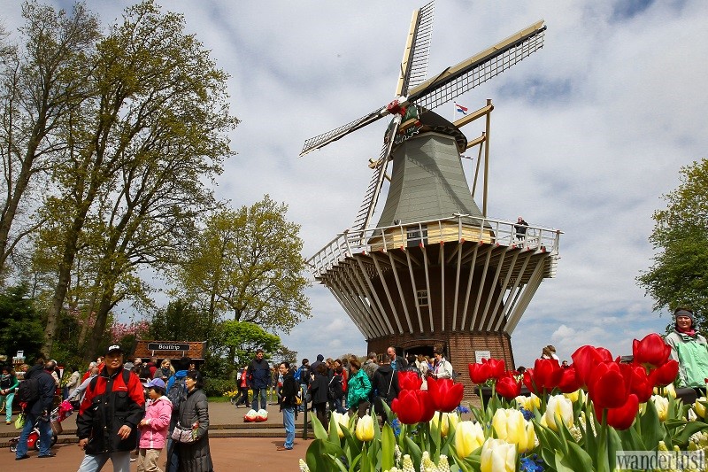 Lạc lối trong vườn Keukenhof