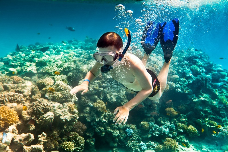 Nên làm gì khi lặn biển ngắm san hô 5 wanderlust tips nen lam gi khi lan bien ngam san ho 2