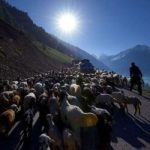 wanderlust tips theo dau chan bo toc du muc bakarwa 3
