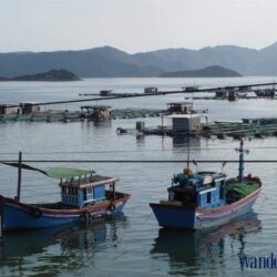 2wanderlust tips 8 diem nen di buoi sang nha trang 2