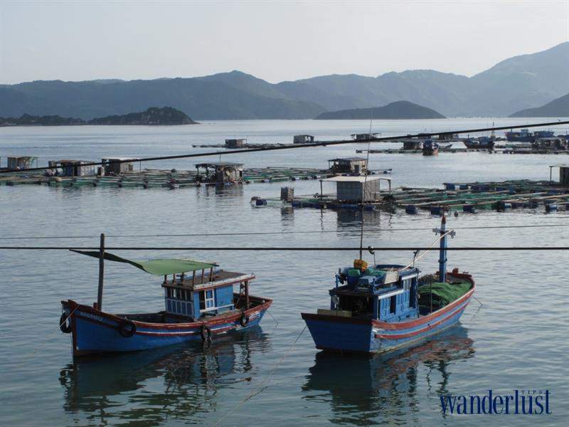 2wanderlust tips 8 diem nen di buoi sang nha trang 2