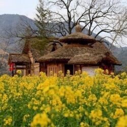 5 lang co o chau a hut hon du khach wanderlusttips5