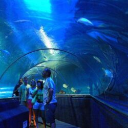 7wanderlust tips 8 diem nen di buoi chieu nha trang 7