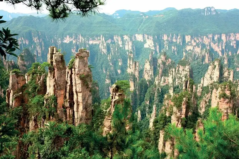 Truong-Gia-Gioi-Wanderlusttips2