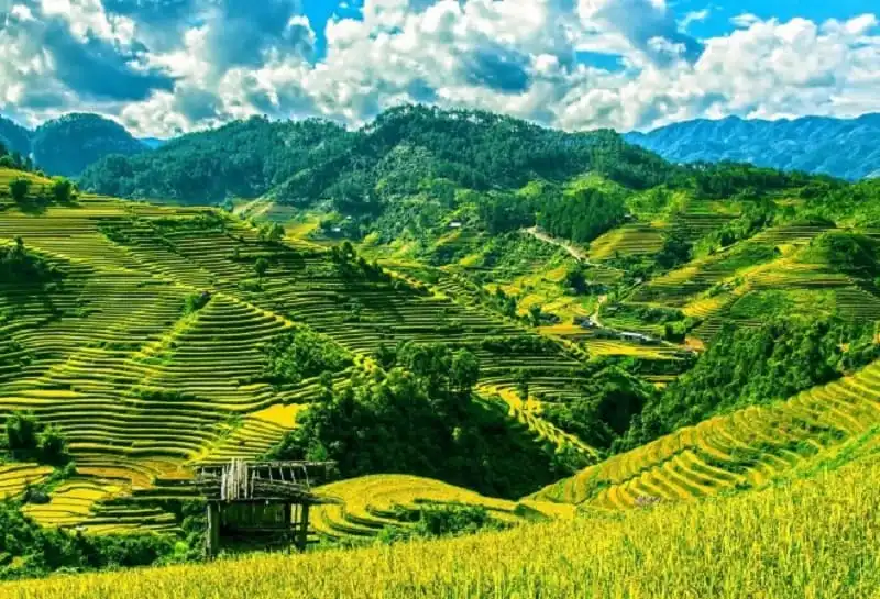 bao-anh-chon-viet-nam-la-diem-hop-nhat-de-di-du-lich-mot-minh-wanderlusttips1