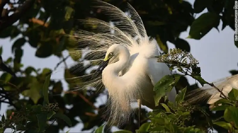 da-lat-lop-top-diem-den-hap-dan-cua-chau-a-wanderlusttips8