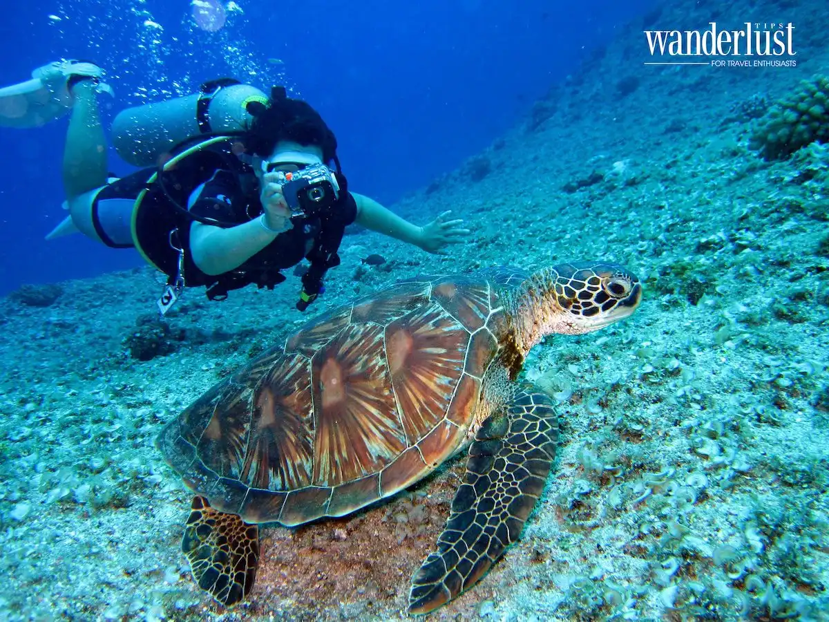 Guam: Thiên đường nghỉ dưỡng giữa đại dương 7 lan-bien-o-guam-la-mot-trong-nhung-trai-nghiem-thu-vi