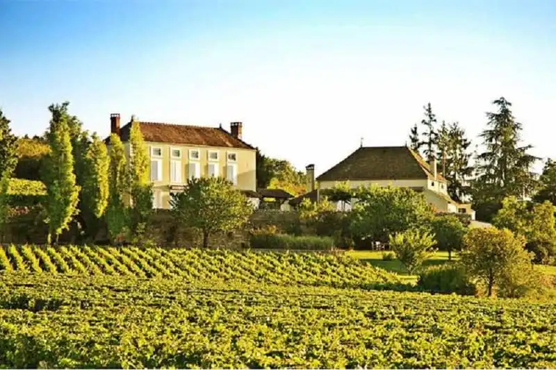 kham-pha-7-vung-trong-nho-sieu-ngon-cua-nuoc-phap-wanderlusttips5