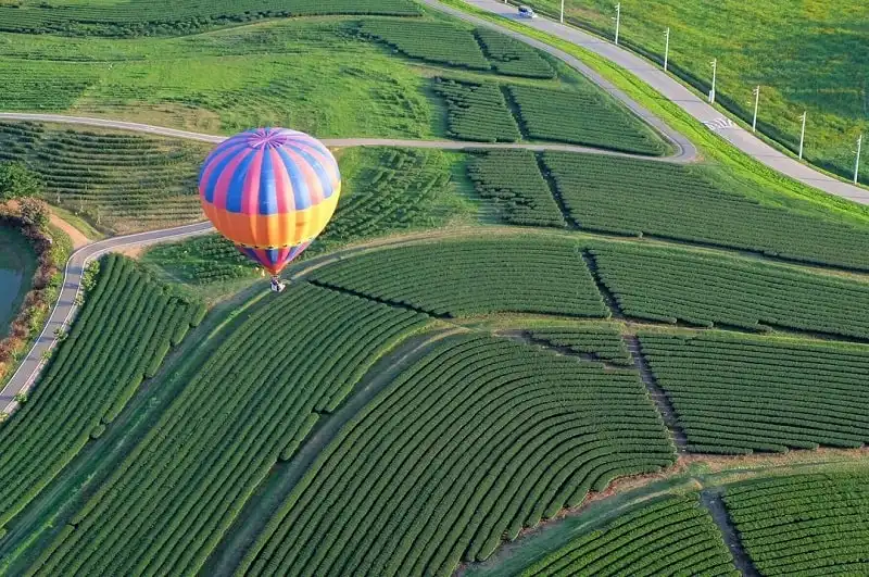 Ngây ngất với công viên nông trại lớn nhất Thái Lan 6 ngay-ngat-voi-cong-vien-nong-trai-lon-nhat-thai-lan-wanderlusttips8