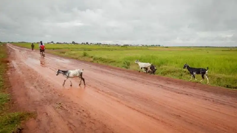 Tây Nguyên tuyệt đẹp đầu mùa mưa 8 Con đường đất đỏ sau trận mưa tại xã Cư Kbang, huyện Ea Súp, Đắk Lắk
