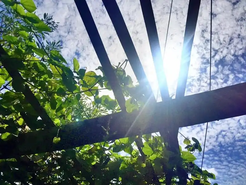 wanderlust-tips-1-tuan-trai-nghiem-bali-nhu-trong-cac-tap-chi-du-lich-32