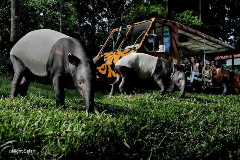 wanderlust-tips-10-trai-nghiem-khien-du-khach-chet-me-khi-toi-singapore-13