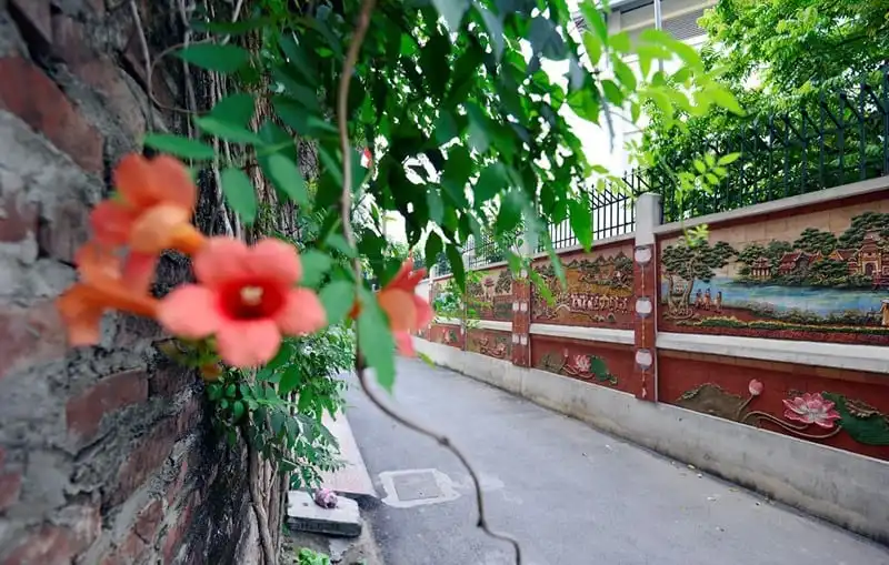 wanderlust-tips-an-tuong-buc-tuong-gom-su-200m-trong-khu-dan-cu-o-ha-noi-8