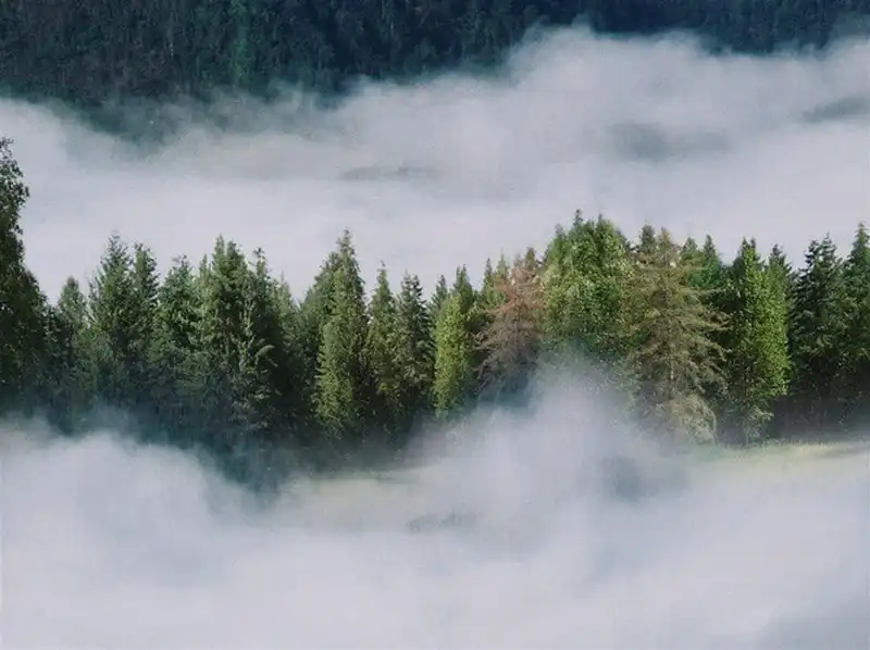 Cáp treo Fansipan giảm giá vé cho người dân 6 tỉnh Tây Bắc 9 wanderlust-tips-cap-treo-fansipan-giam-gia-ve-cho-nguoi-dan-6-tinh-tay-bac-5