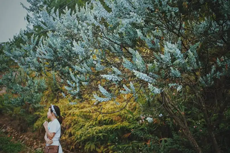 wanderlust-tips-co-nang-mc-phuong-anh-va-chuyen-du-lich-da-lat-day-chat-nghe-2