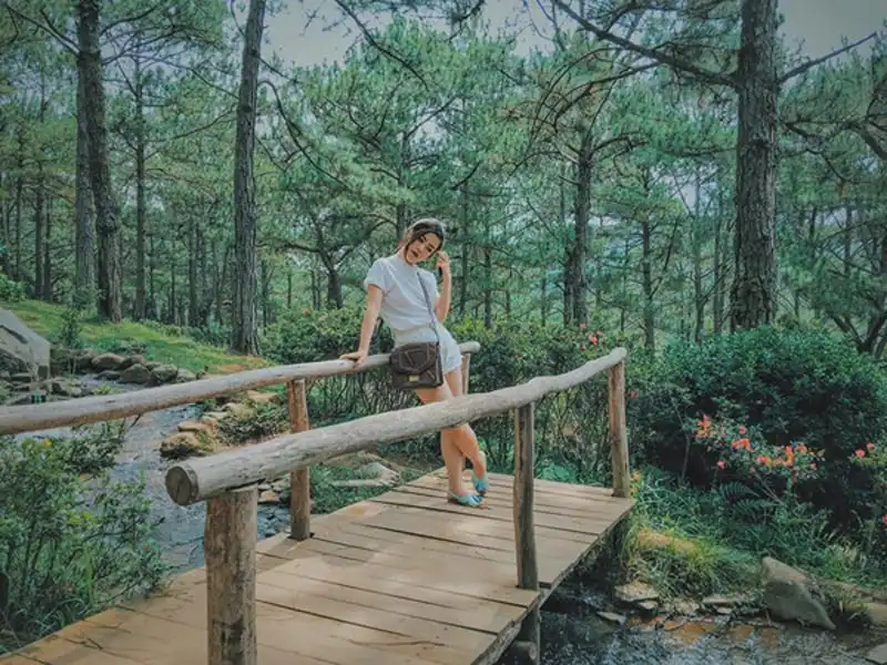 wanderlust-tips-co-nang-mc-phuong-anh-va-chuyen-du-lich-da-lat-day-chat-nghe-4