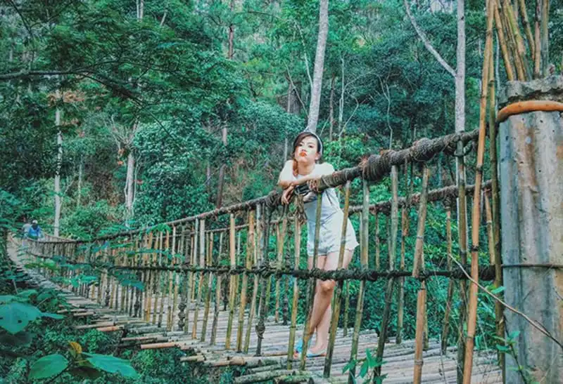 wanderlust-tips-co-nang-mc-phuong-anh-va-chuyen-du-lich-da-lat-day-chat-nghe-7