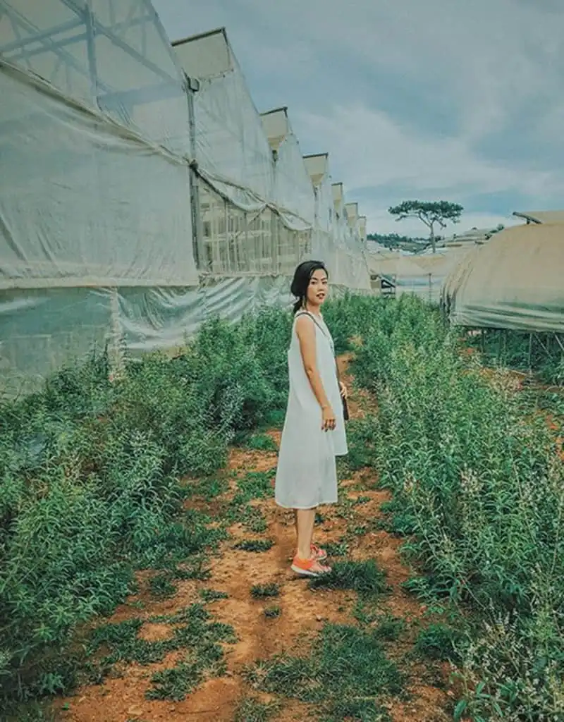 wanderlust-tips-co-nang-mc-phuong-anh-va-chuyen-du-lich-da-lat-day-chat-nghe-9