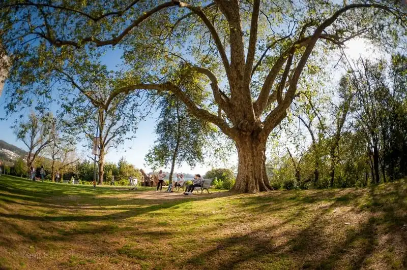 wanderlust-tips-ghe-tham-Guimaraes-que-huong-danh-thu-cristiano-ronaldo10