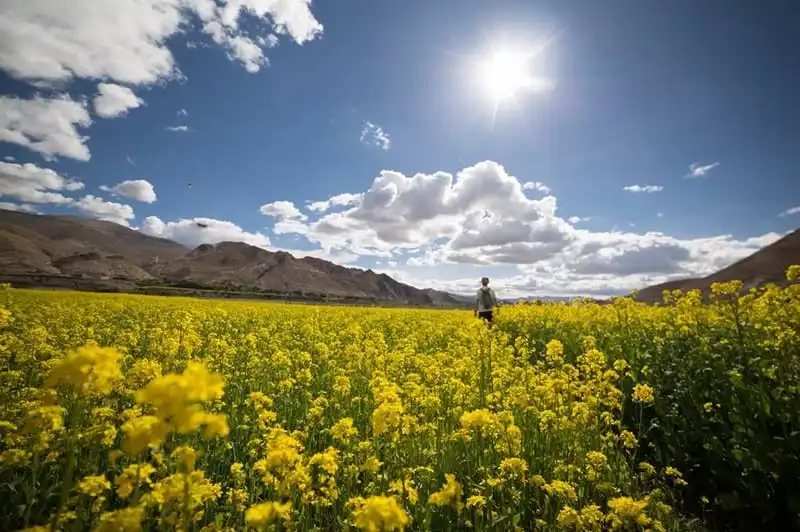 wanderlust-tips-hanh-trinh-toi-noi-lung-chung-thoi-gian-1