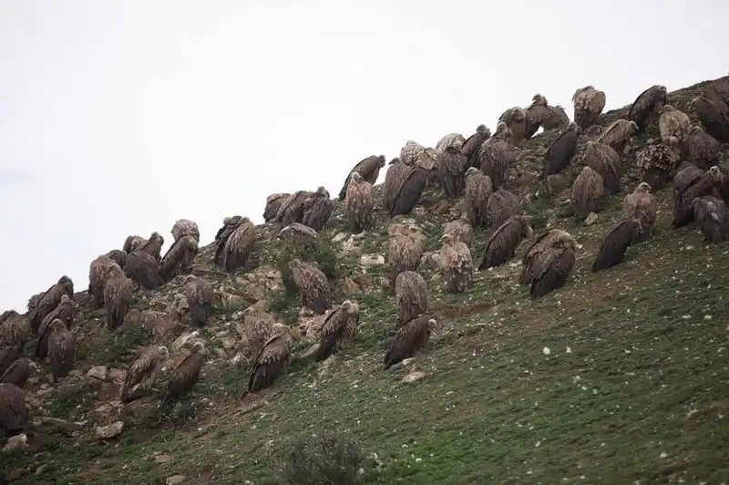 wanderlust-tips-hanh-trinh-toi-noi-lung-chung-thoi-gian-16