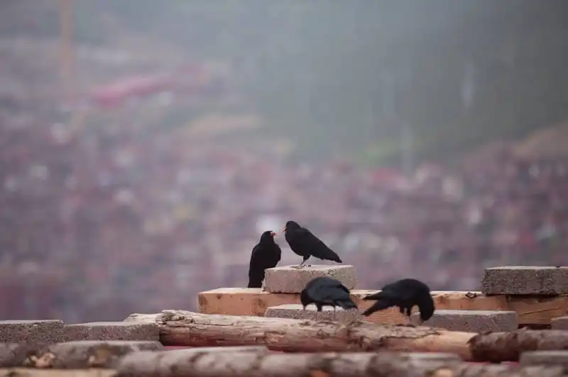 wanderlust-tips-hanh-trinh-toi-noi-lung-chung-thoi-gian-21